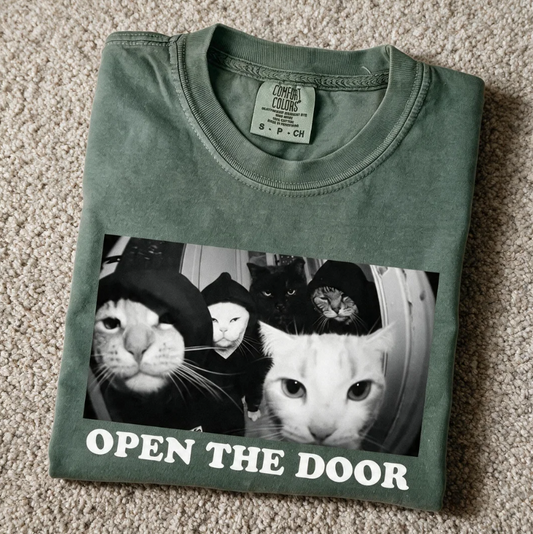 Comfort Color Sarcastic Cat Meme Tee Moss Color Size S