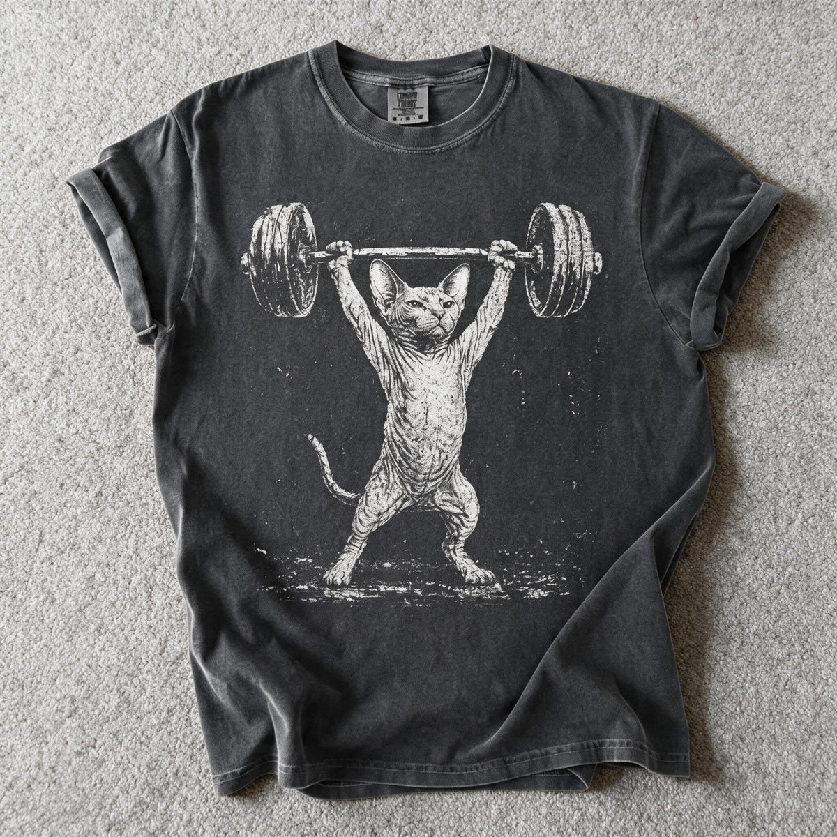 Comfort Color Sphynx Cat Meme Shirt Size L