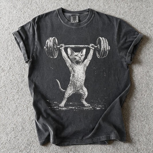 Comfort Color Sphynx Cat Meme Shirt Size L