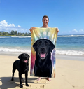 Custom Pet Portrait Beach Towel: Personalized Dog Photo Gift